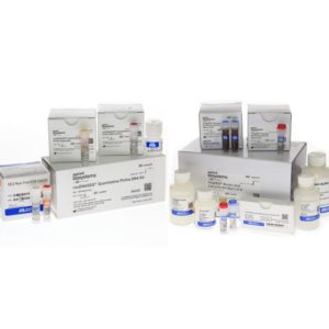 resDNASEQ® Quantitative Pichia pastoris DNA Kit and PrepSEQ® Residual DNA Sample Preparation Kit