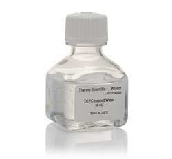 DEPC-treated Water
